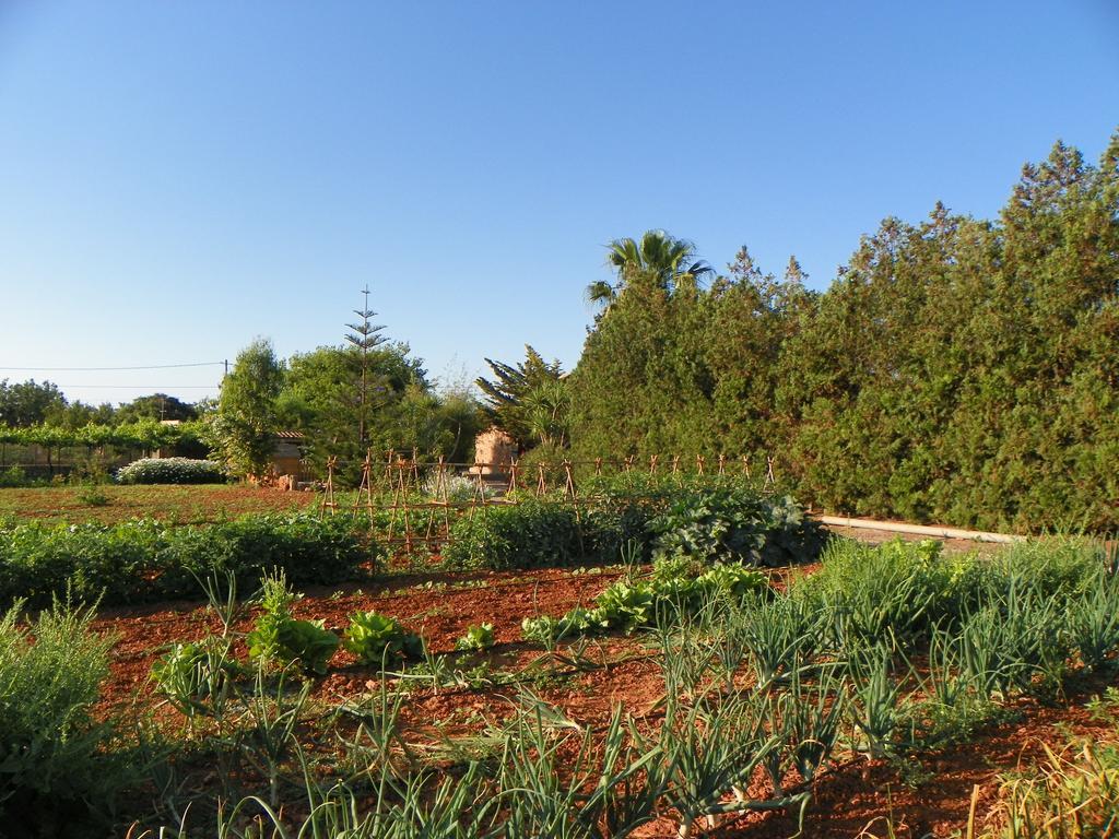S'Horta Agroturisme Can Bessol מראה חיצוני תמונה